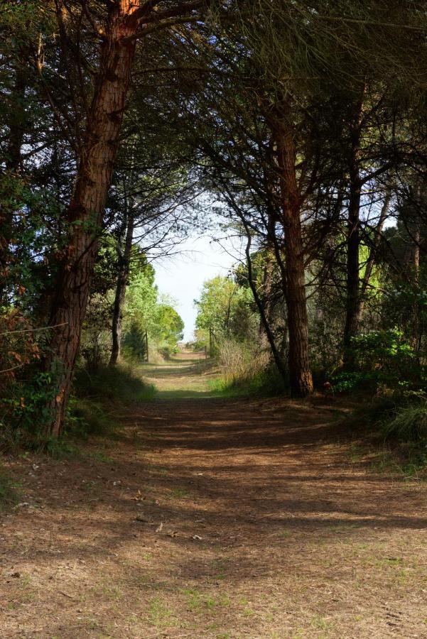 Natura Cavallino-Treporti Buitenkant foto