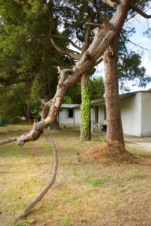 Natura Cavallino-Treporti Buitenkant foto