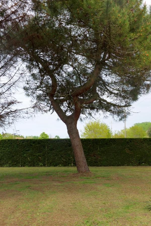 Natura Cavallino-Treporti Buitenkant foto